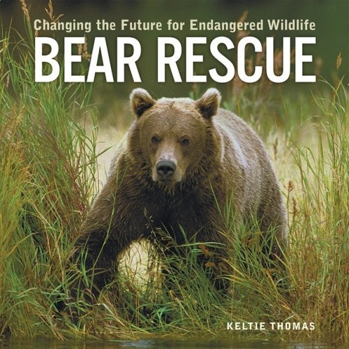 Bear Rescue: Changing the Future for Endangered Wildlife (Firefly Animal Rescue)