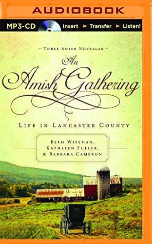 Amish Gathering, An