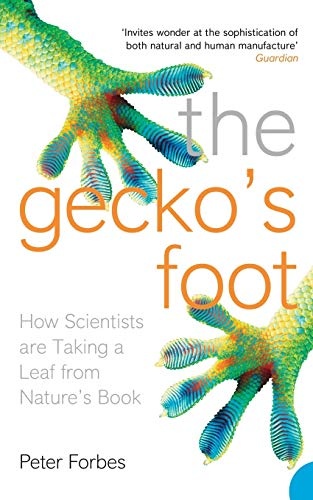 The Geckoâs Foot