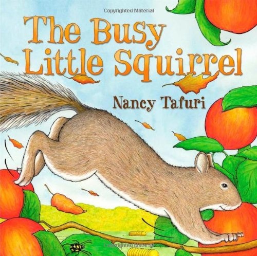 Busy Little Squirrel