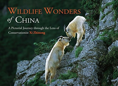 Wildlife Wonders of China: A Pictorial Journey through the Lens of Conservationist Xi Zhinong