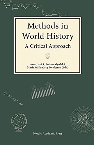 Methods in World History: A Critical Approach (Nordic Academic Press Checkpoint)